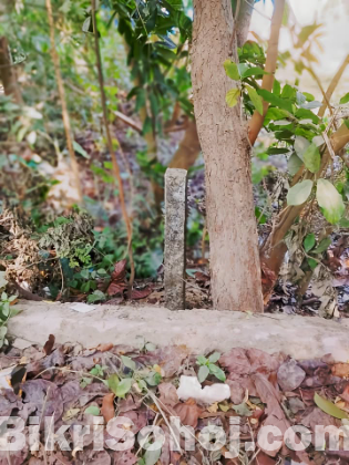 জমি বিক্রয় করা হবে